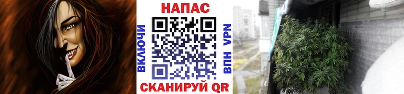 Где купить наркоту Вилюйск Галлюциногенные грибы  A PVP  Кокаин  ГАШИШ  Меф мяу мяу  Каннабис 