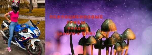 гашик Верхний Тагил