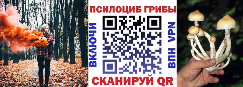 где продают наркотики  Вилюйск  Галлюциногенные грибы мицелий 